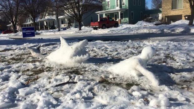 Snow shark